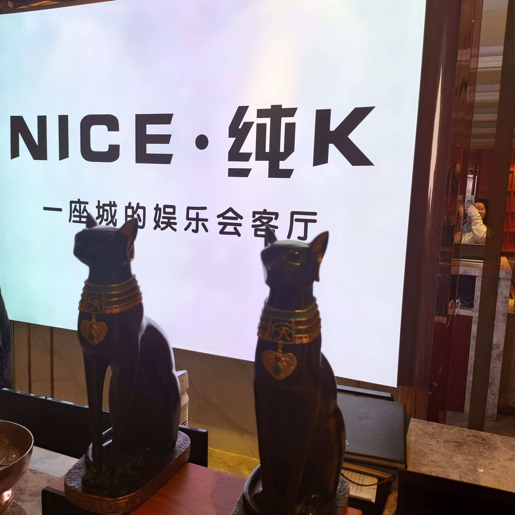 沧州商务ktv，商务ktv的含义解析-肃宁县ktv预定